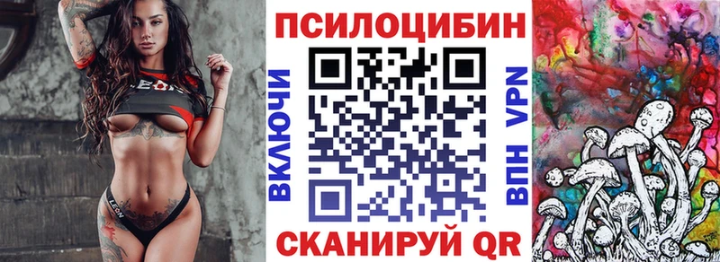купить закладку  Макушино  Галлюциногенные грибы GOLDEN TEACHER 